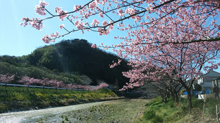 2016年の竹灯籠祭りは3月5日です