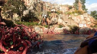 くまのおしりがかわいい♪