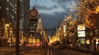 四季をテーマに色分け