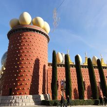 卵が見れて感激