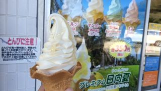 日向夏ソフトクリーム