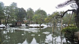 国指定の名勝だけあって、庭園は見ごたえあります。雪がないときにまた訪れたいです。