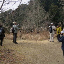 「雪入ふれあいの里」でバードウォッチング