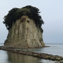 引き潮の時間に行くと近づけます