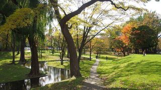 留学生も多いみたいです。