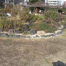 亀井橋公園の芝生の中には、きれいな花壇が造られています。