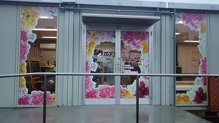 ブーゲンビレアが元気に咲いていました。