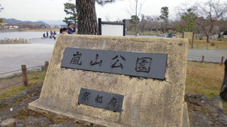 観光客が多いね