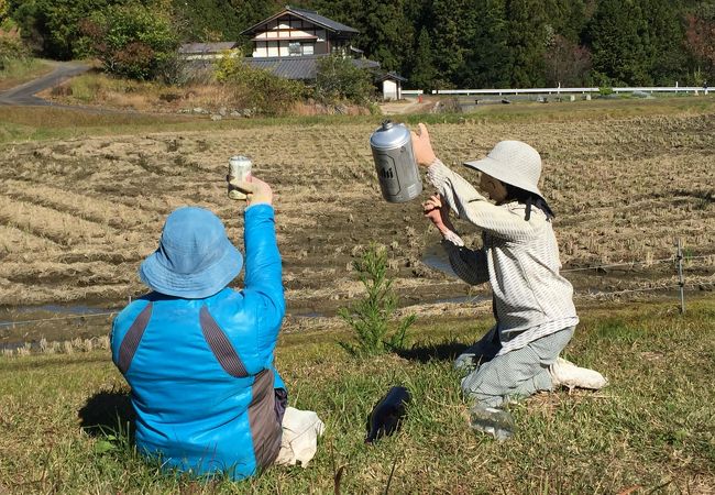 かかしストリート