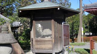 興味をそそられましたが、う～ん、よく見えない