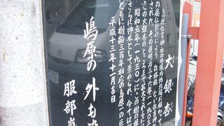 今はチョット元気がないみたいです。