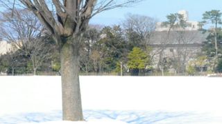 手入れされた公園