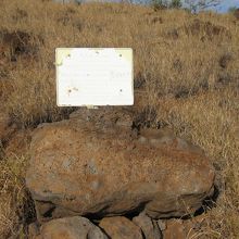 この岩の横の上り道からヘイアウへ。かなりハードです。