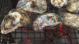 牡蠣小屋です。