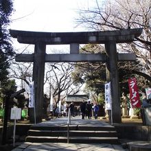 桜に時季にはより立派に見えます