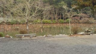 八幡大神が顕現