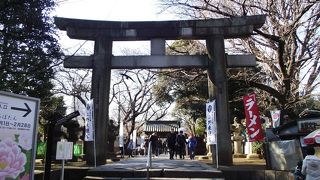 上野東照宮正面の参道入口に建つ大きな石の鳥居です