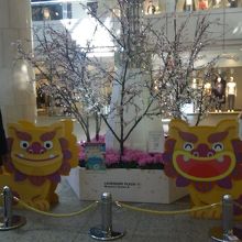 横浜ランドマークタワー訪問時には、沖縄イベント開催中でした