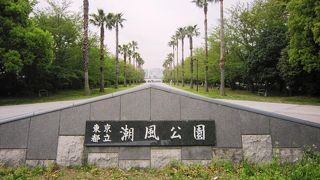 ベイエリアを望む広大な公園