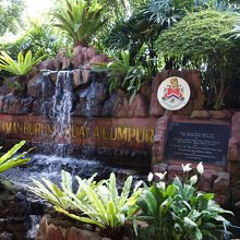 さまざまな鳥がいる