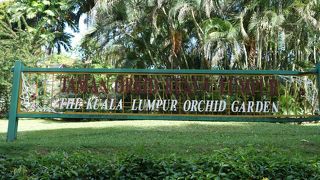 のんびりできる公園