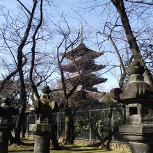 右手に見える旧寛永寺五重塔