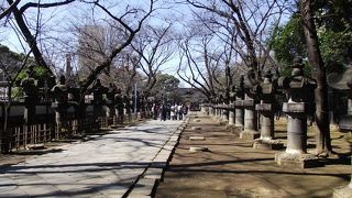 石灯籠が両脇に整然と並んだ参道は何とも言えない感じがするところです