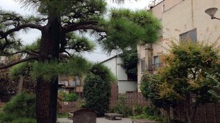 駅からはちょっと離れているかも