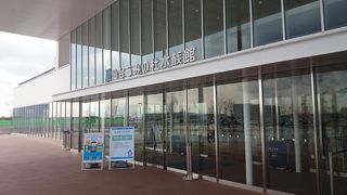 イルカショー！