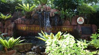 鳥好きの人には楽しい