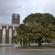 京都大学のシンボル