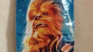 英語のガイドマップを