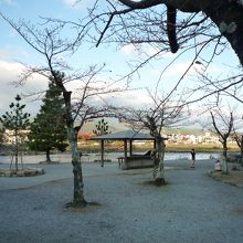 秋から冬は少しさみしい