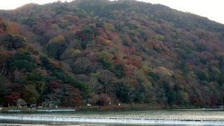観光シーズンはバスや車での訪問は避けよう