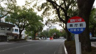 まるで森の中の道のよう