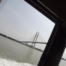 スピードのあるボートだったので一瞬だけの見学でした。