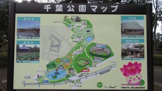 千葉中心に近い総合公園
