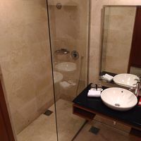 スーペリアルームではバスタブは無くシャワーのみ