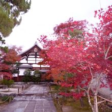 紅葉が綺麗でした