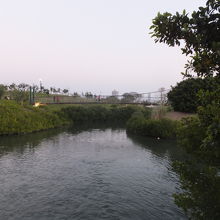中都愛河湿地公園を散策】 風景