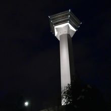 函館美術館前からタワーを見上げました