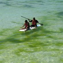 藻の発生で海の色まで緑色をしている。
