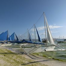 たくさんのヨットが海岸に係留されていてる。