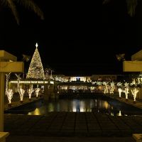 スターダストファンタジア