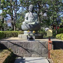 大きくて立派です