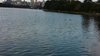 福岡市民憩いの場