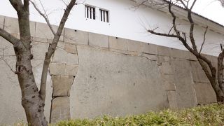 なぜ「笑い」なのでしょうか？