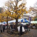 花川戸はきだおれ市