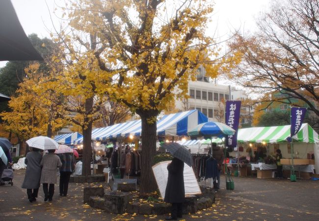 花川戸はきだおれ市