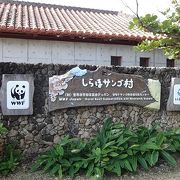 石垣島白保のサンゴ礁を保全する